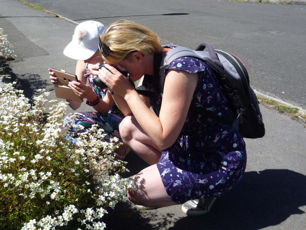 Creative revision break ideas outdoor photography