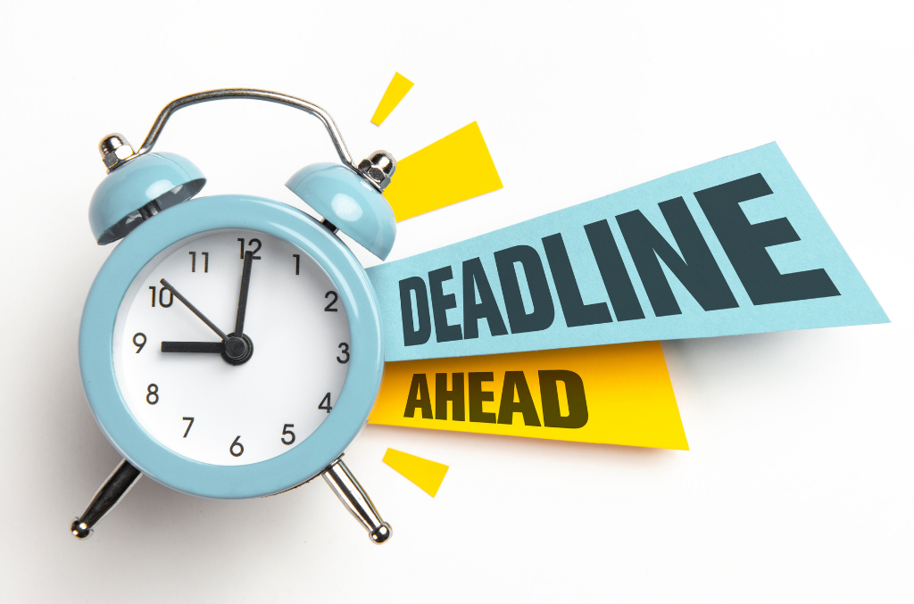 11 Plus Application Process