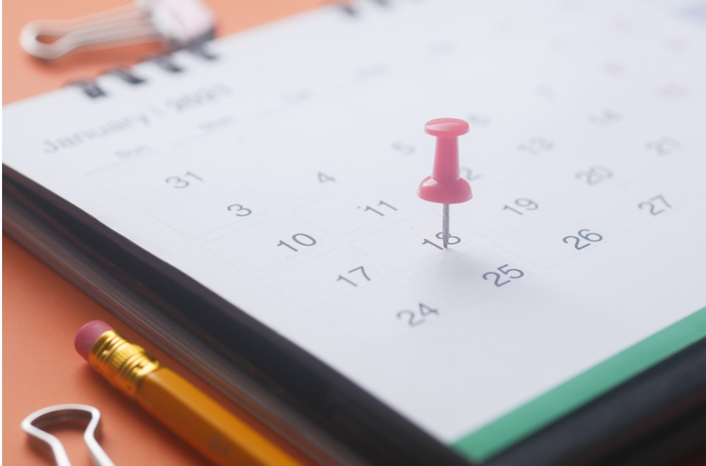 11 Plus application process